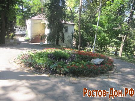 Центральный парк Ростова-на-Дону823